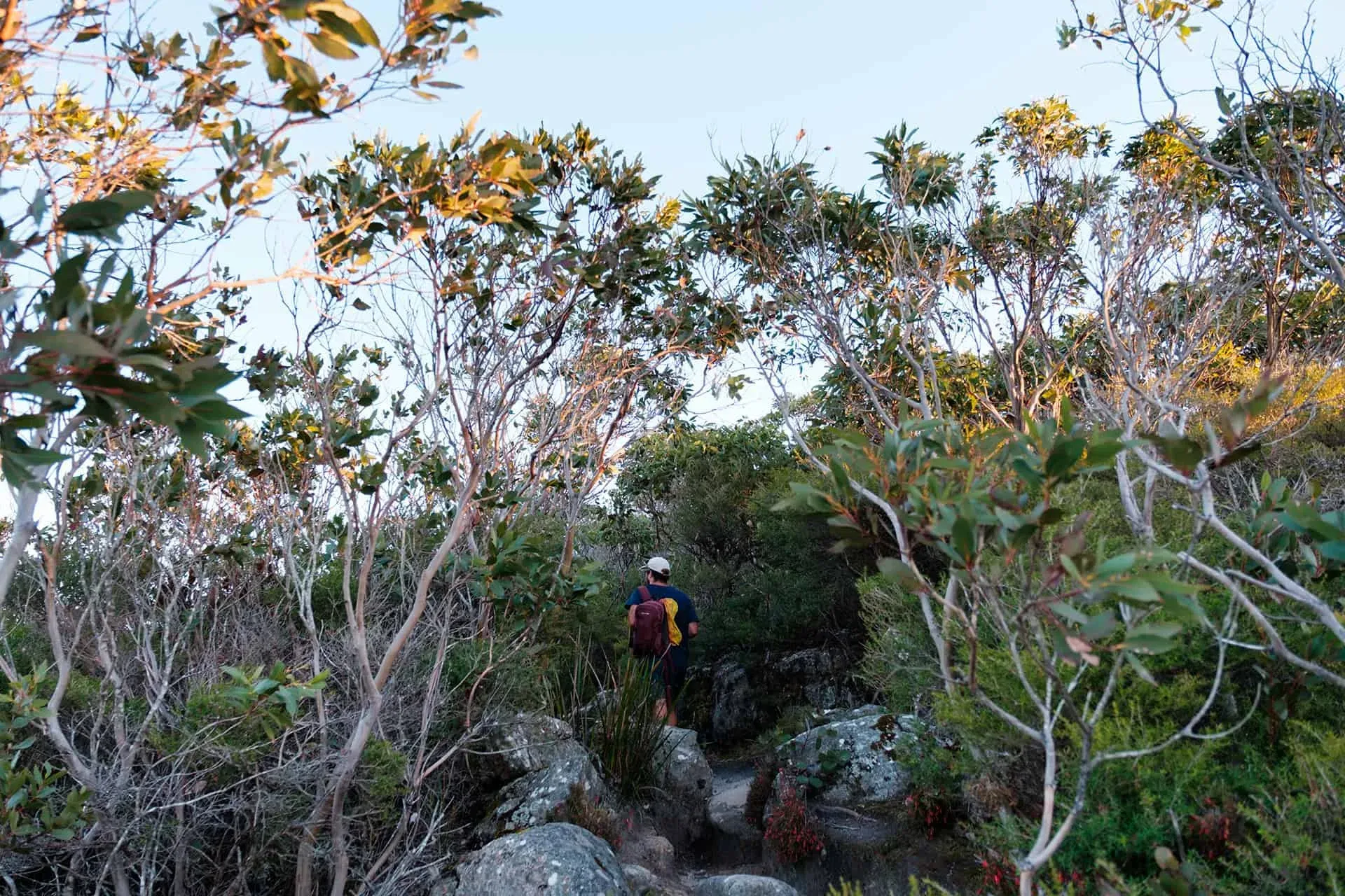 Mount oberon 4 — Wilsons Prom, Hike & Seek