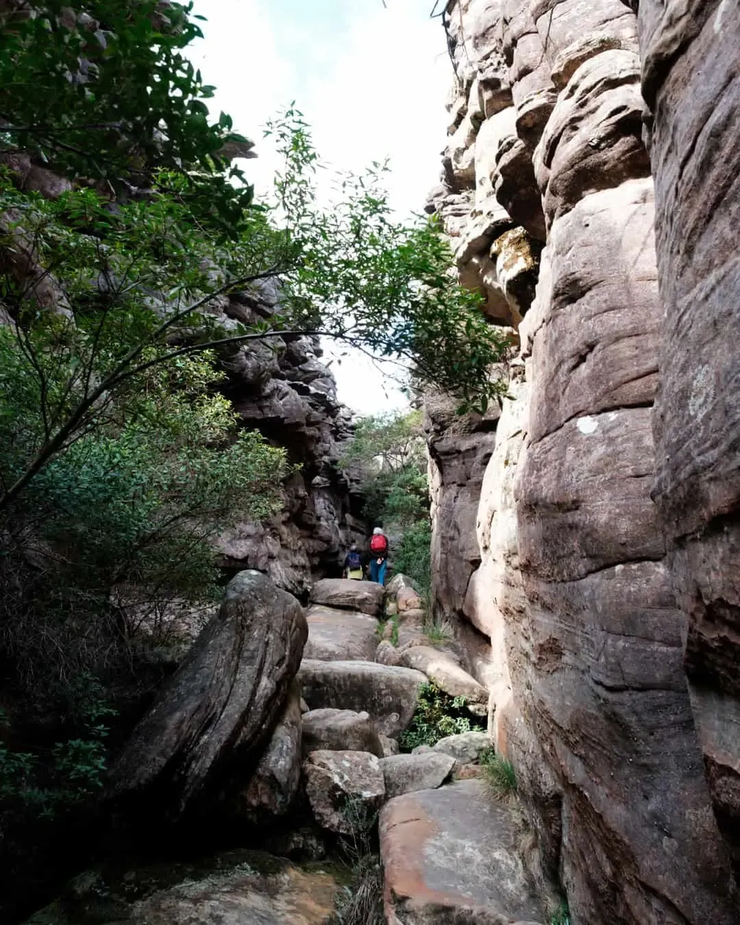 Silent street 1 — Grampians, Hike & Seek