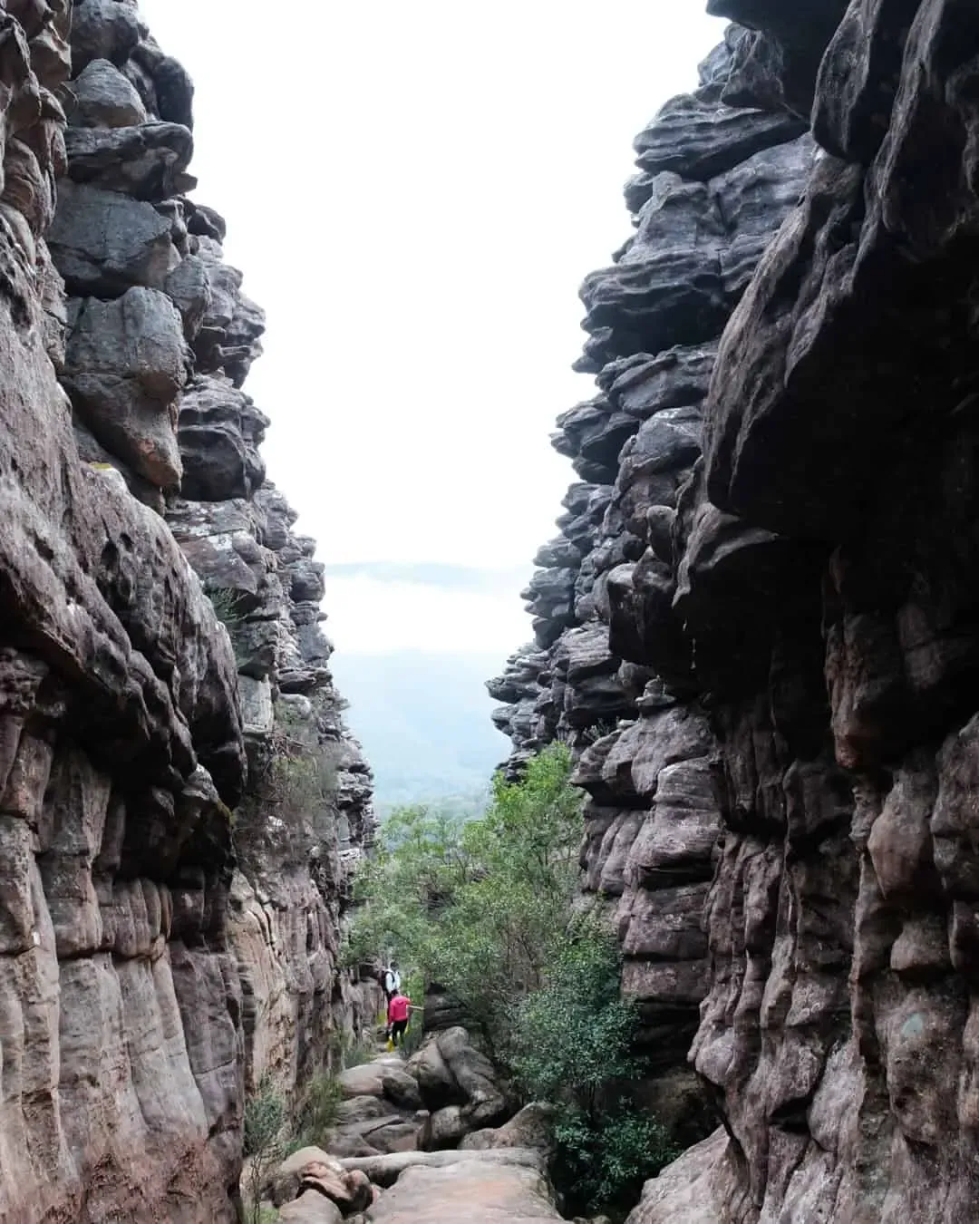 Silent street 2 — Grampians, Hike & Seek