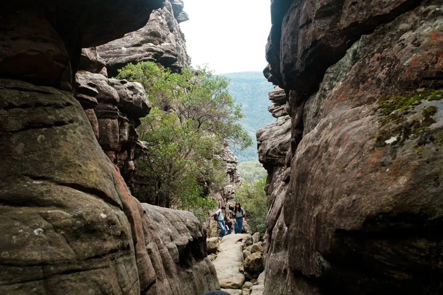 Silent street 3 — Grampians, Hike & Seek