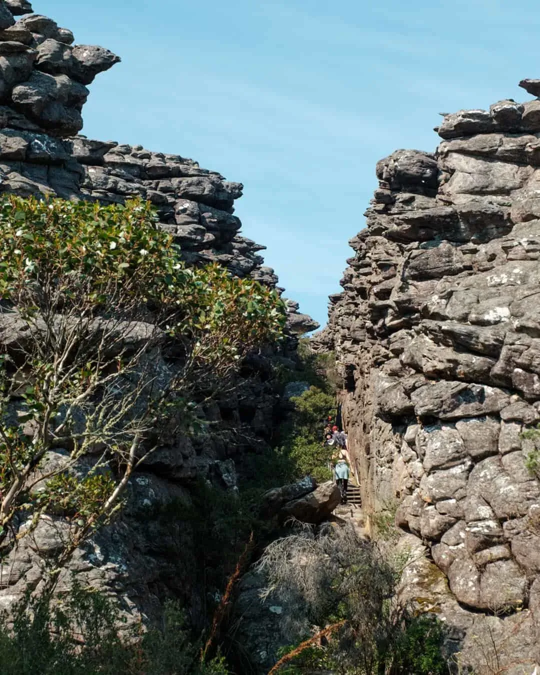 Silent street 4 — Grampians, Hike & Seek