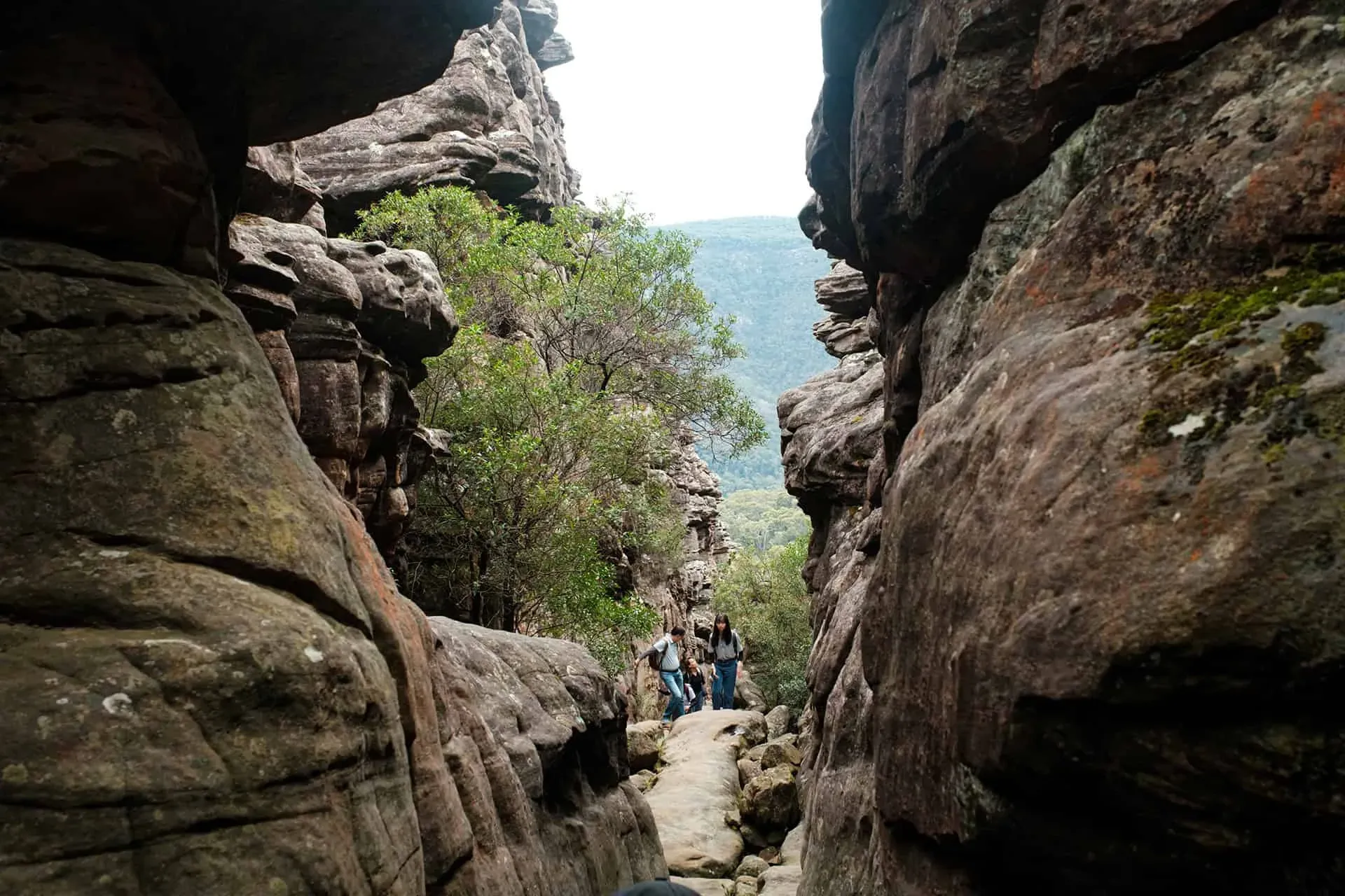 Silent street 5 — Grampians, Hike & Seek