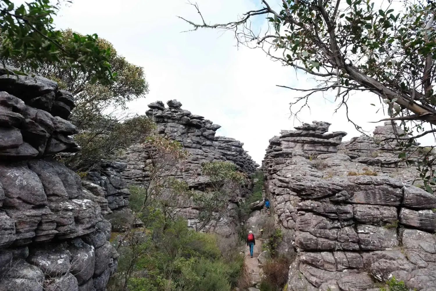 Silent street — Grampians, Hike & Seek