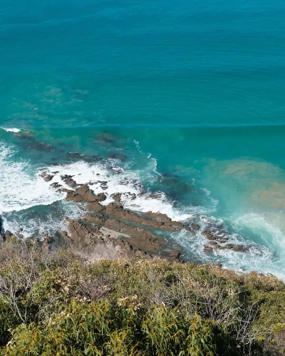 Teddys — Great Ocean Road, Hike & Seek