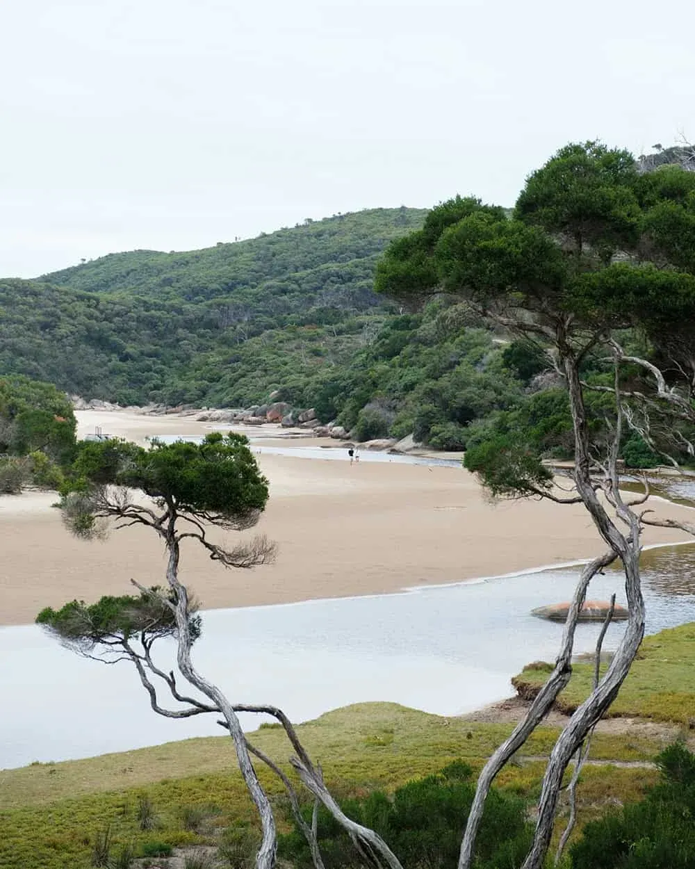 Tidal river 1 — Wilsons Prom, Hike & Seek