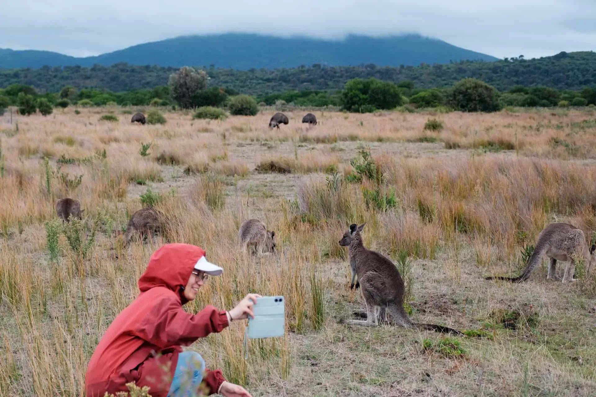 Wildlife walk 3 — Wilsons Prom, Hike & Seek