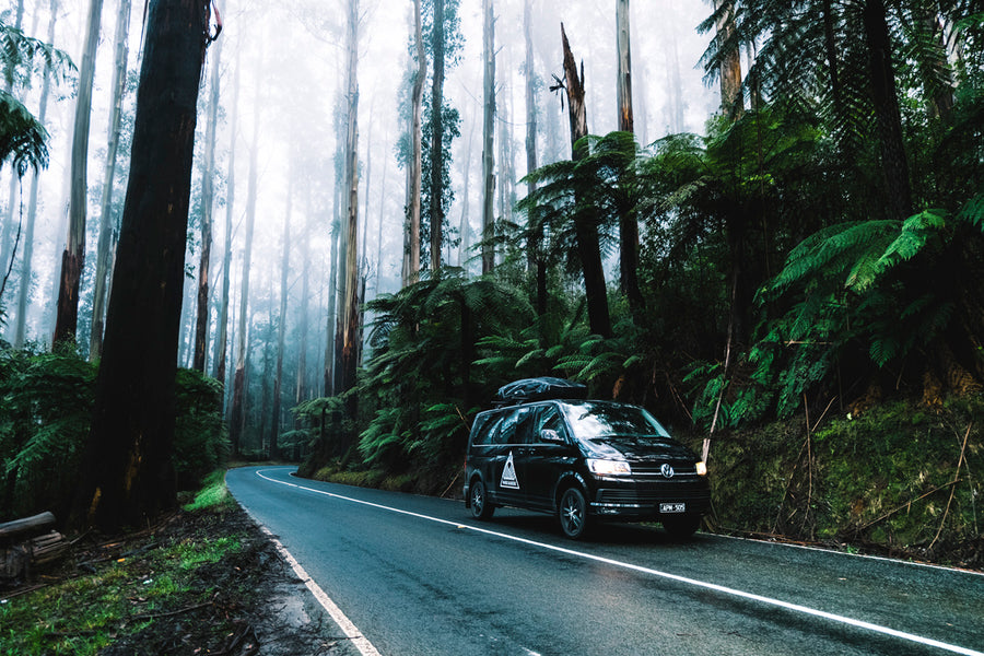 Dandenong Ranges forest and Yarra Valley countryside