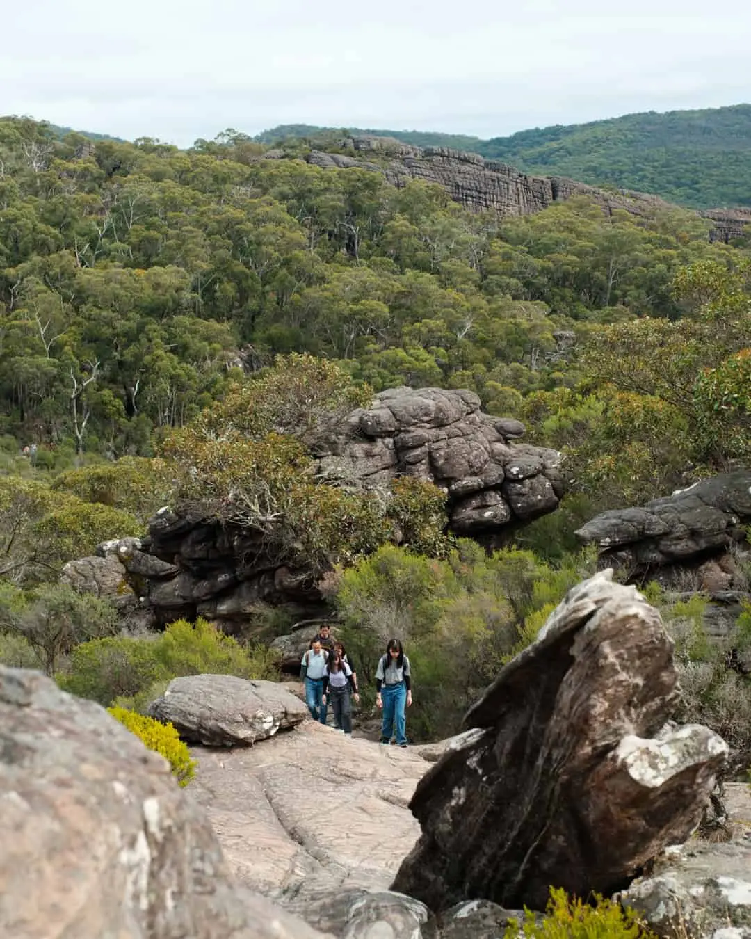 Hiking to mountain views in the Grampians