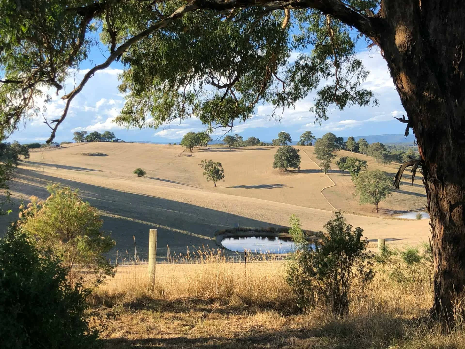 Four Pillars Gin Distillery in Healesville